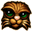 Felin icon