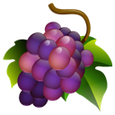 Grapes icon