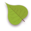 Leaf-Green icon