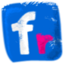 Flickr icon